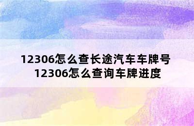 12306怎么查长途汽车车牌号 12306怎么查询车牌进度